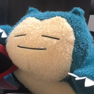 DoLisu